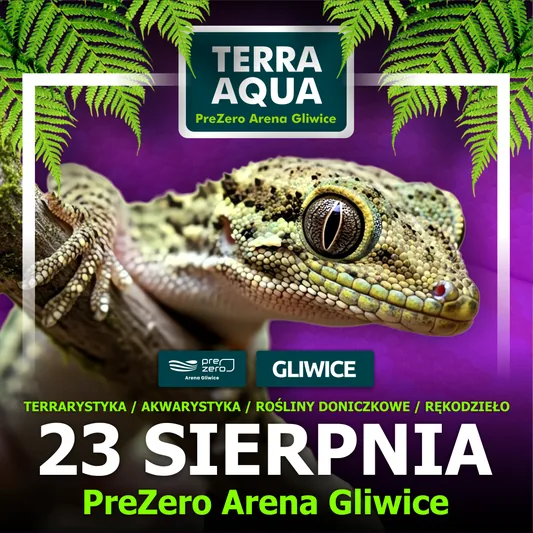 TERRA  AQUA GLIWICE / TARGI AKWARYSTYKI / PIĘKNO RĘKODZIEŁA  / WYSTAWA PAJĄKÓW